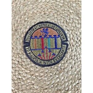 Vietnam Era USAF 31ST Aircraft Generation Squadron Insignia Patch 3”